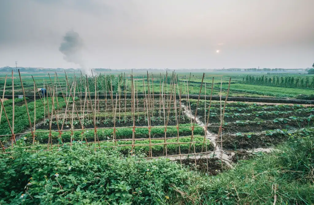 出口企业库存周转率提升路径：海外仓管理软件应用实践