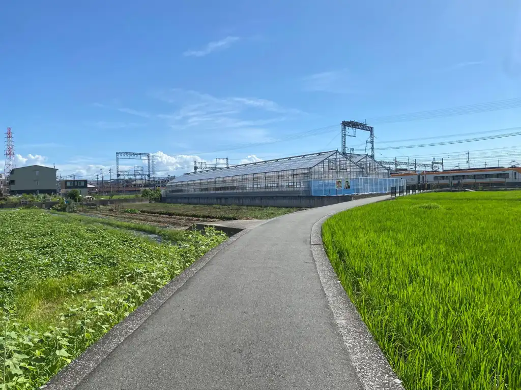 跨境电商海外仓管理系统的订单同步与库存管理技术架构解析