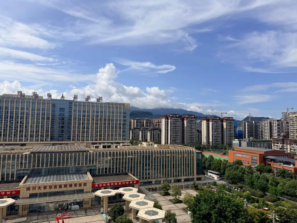 出口贸易企业如何通过订单同步系统优化跨境物流渠道对接效率