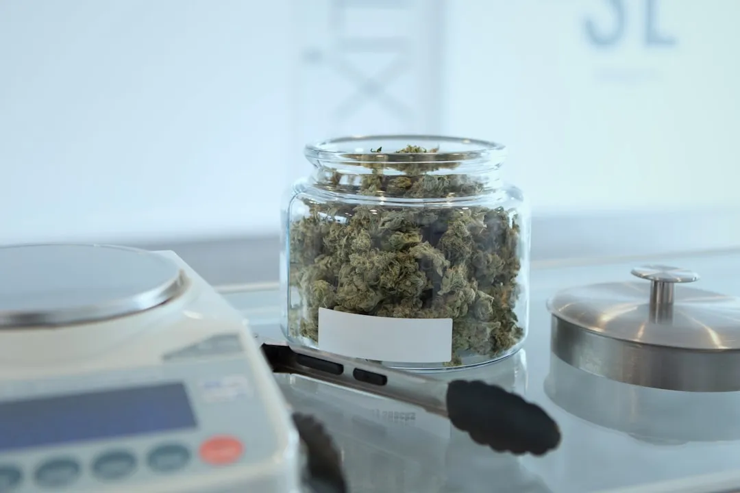 出口贸易企业跨境订单处理效率提升的实践案例与物流渠道对接经验