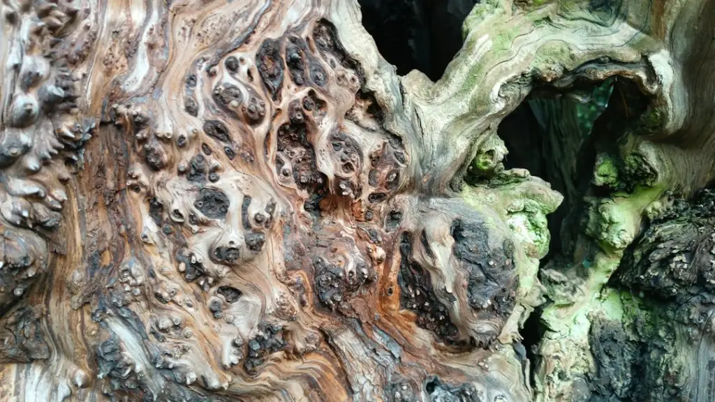 跨境电商海外仓库存管理系统的功能对比与选型建议
