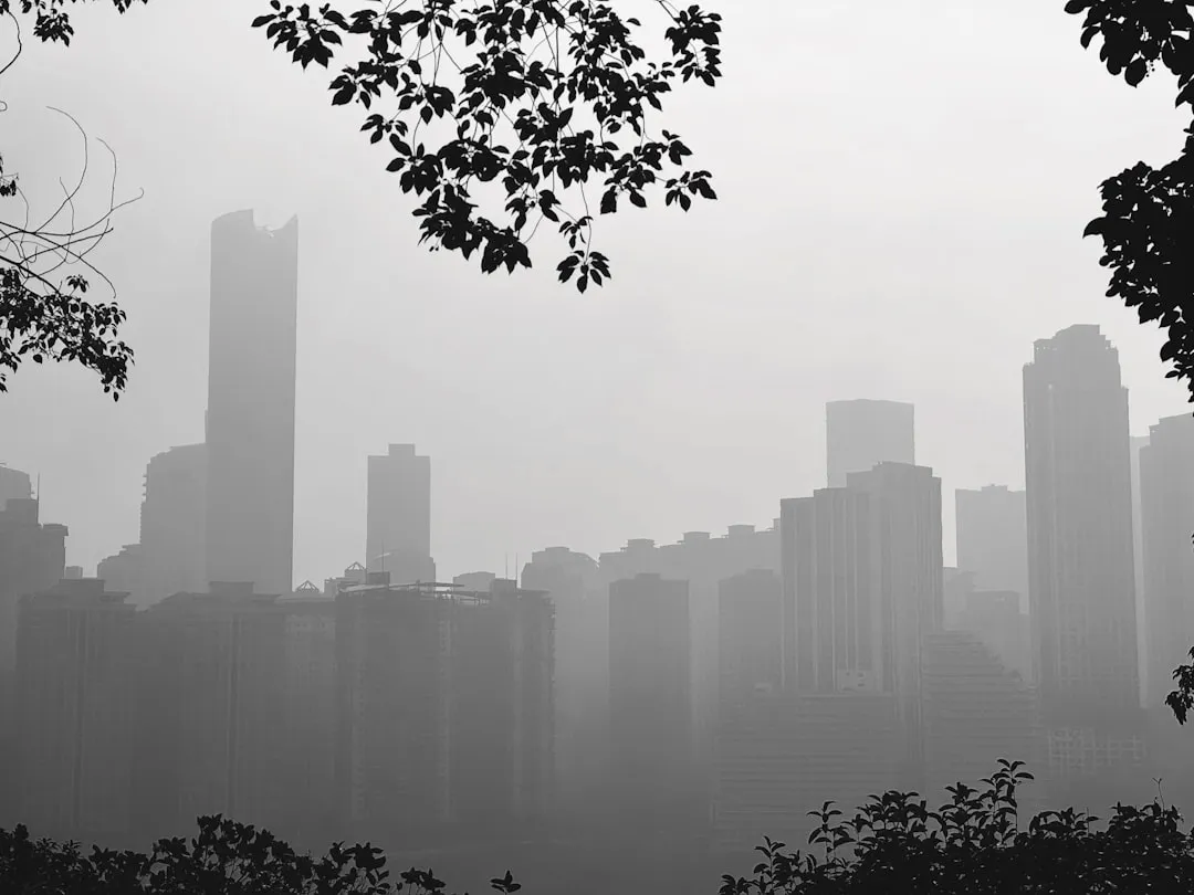 多平台库存管理软件选型对比：提升跨境订单处理效率的关键